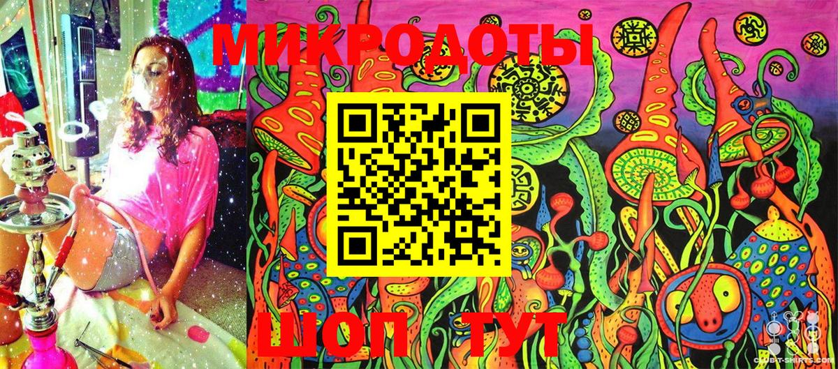 Галлюциногенные грибы Psilocybe Еманжелинск